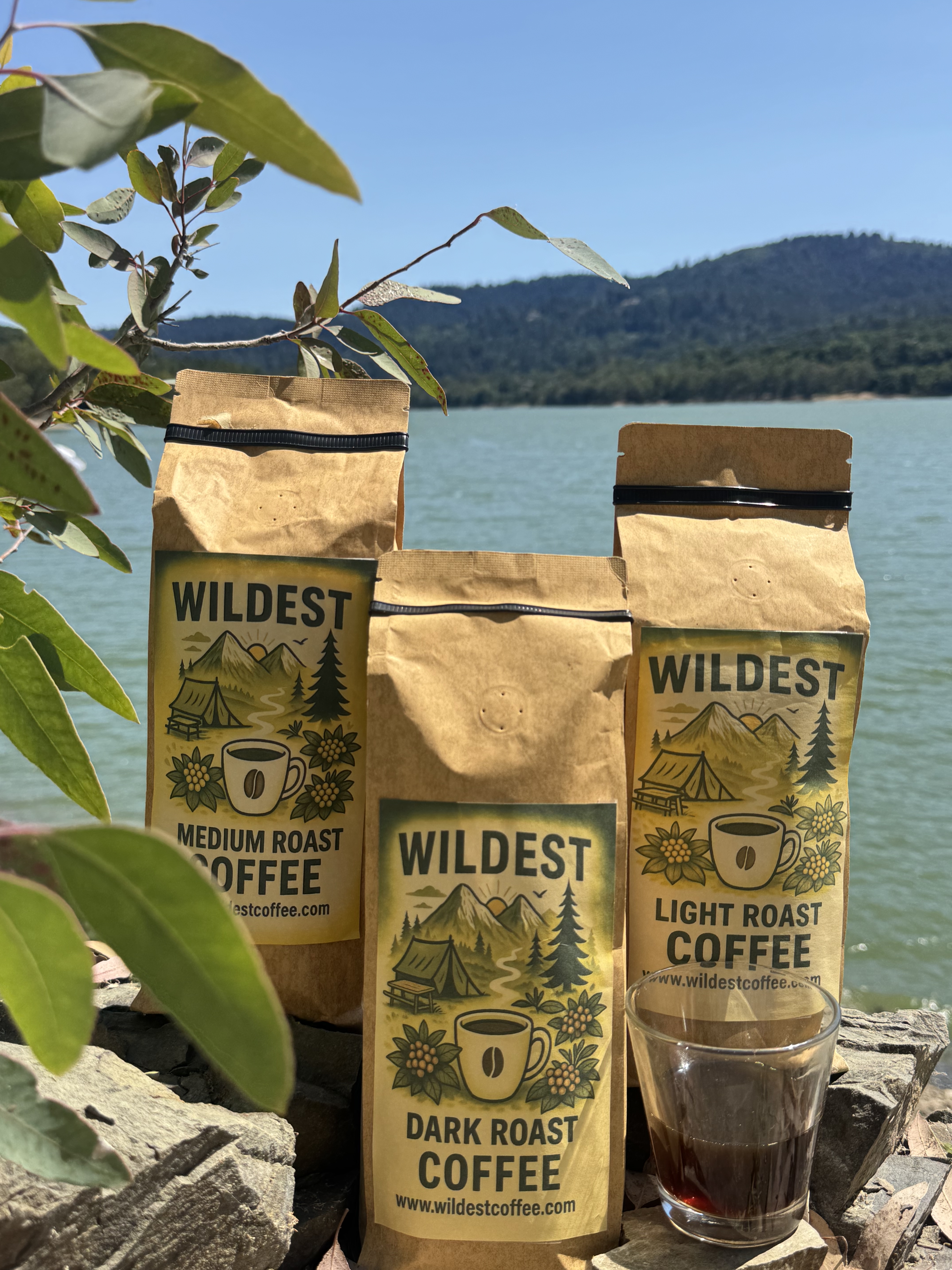 Wildest Coffee. Handpicked. Fresh Roasted. Wildly Smooth.