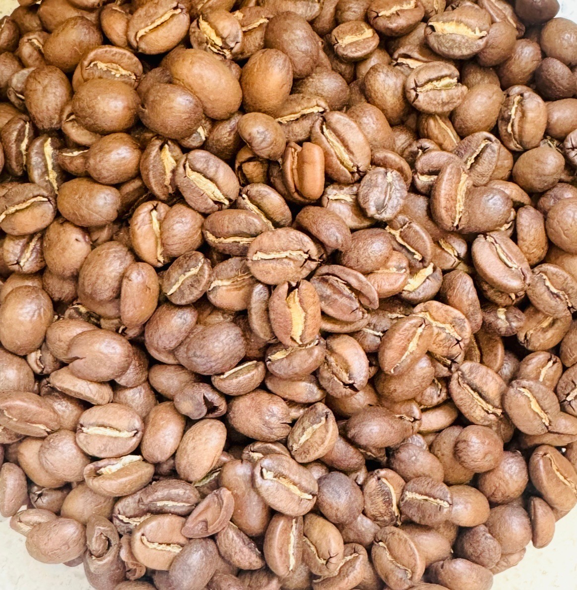 Light Roast – Wild Awakening