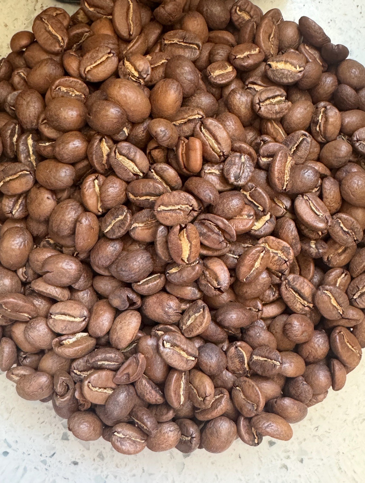 Medium Roast - Balanced Wild
